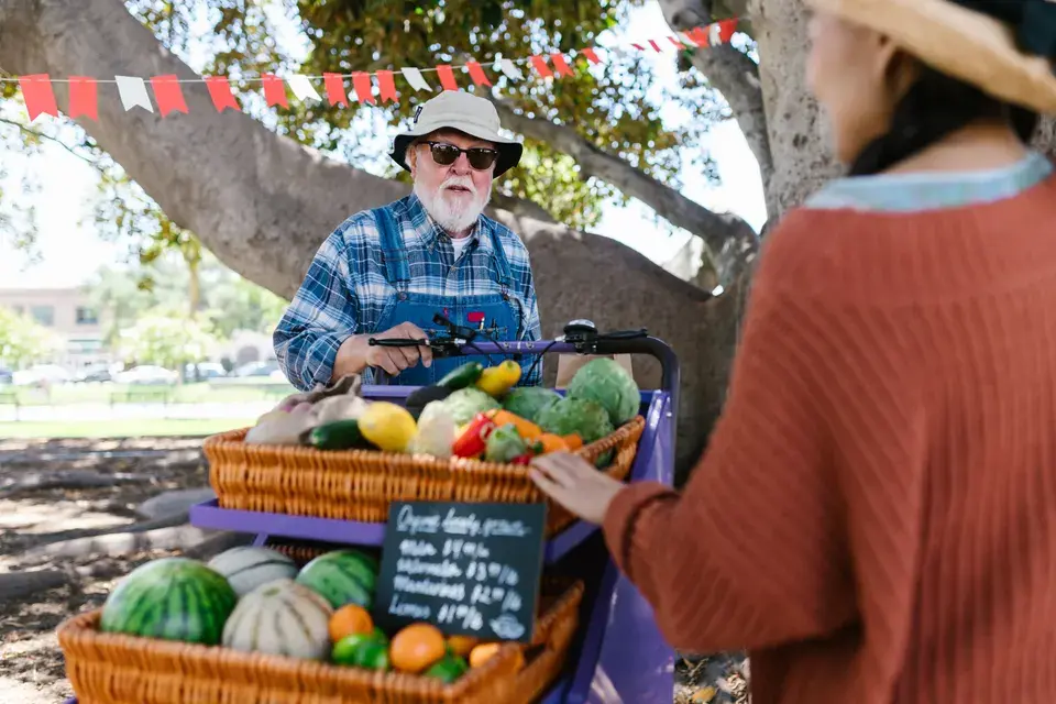 Local Expertise in Oakland Park's Humid Climate — Oakland Park, FL
